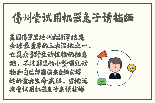 开局尔康睡了令妃